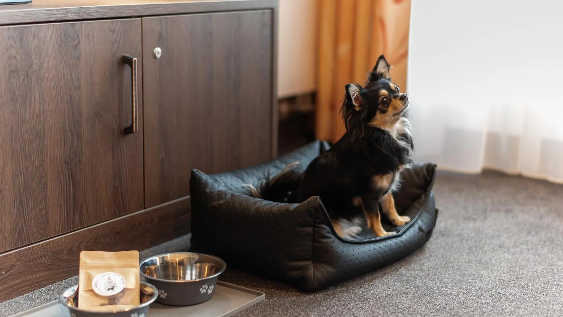 Daire Familienapartment Am Neumarkt Ll Dresden